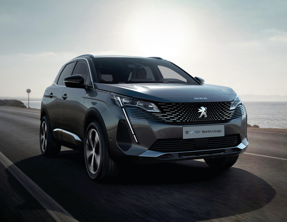 Martin Lizaga - Concesionario Peugeot Teruel